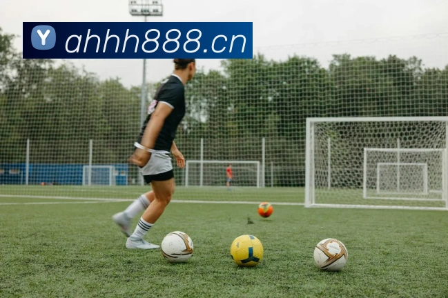 开云官网APP 封面图